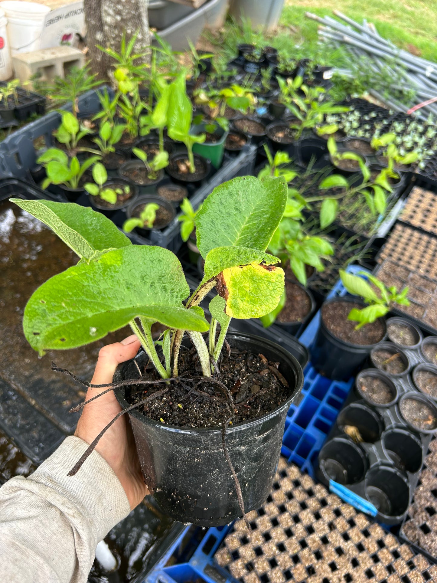Propagation Party 9/27