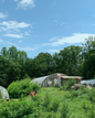 Virtual Garden Consultation