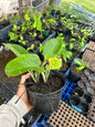 Propagation Party 9/27